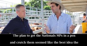 Bill Shorten’s Crutching Skills