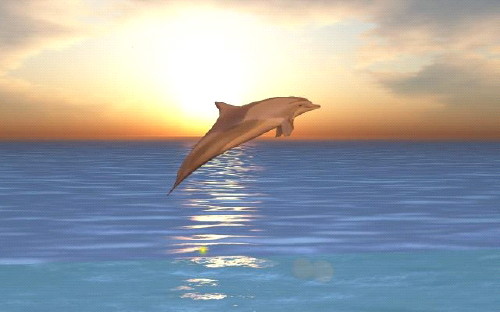 windlightdolphin.jpg